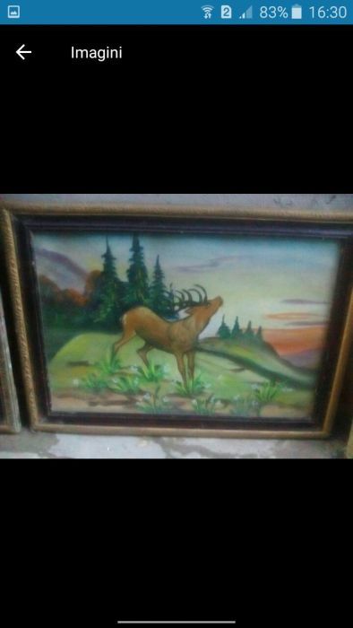 Tablouri vechi semnate și nesemnate