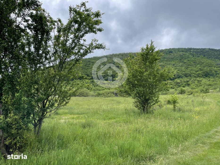 Teren extravilan de vanzare – Poplaca, Sibiu | 650 mp