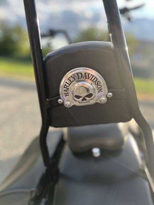 Vand Harley Davidson Fat Boy 2010