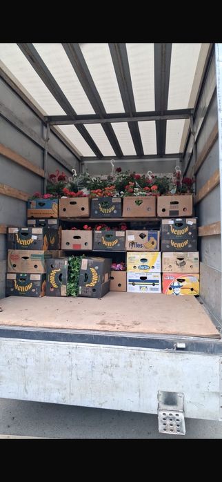 Mutări Debarasări Relocări Manipulanți Transport