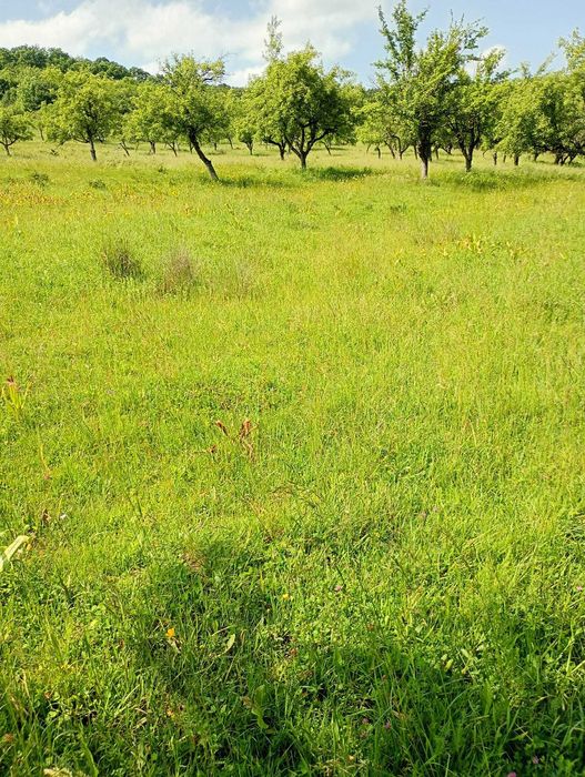 Teren extravilan de vanzare, zona Drumul Tarpiului, rid Subcetate
