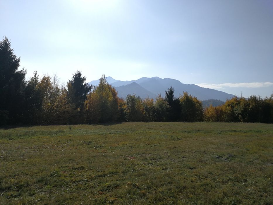Teren intravilan Rasnov Gajarie 2800 mp-vedere muntii Bucegi si Piatra Craiului