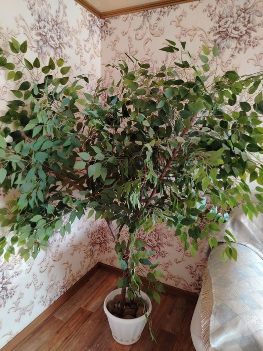 Продам искусственное дерево