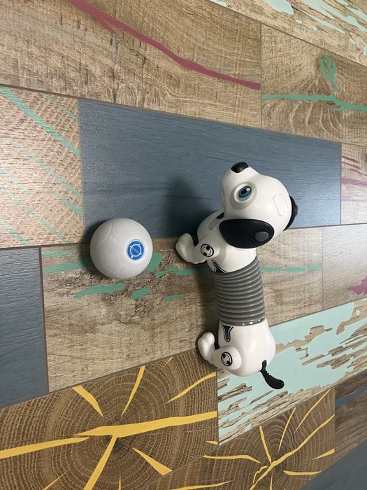 Детски играчки с дистанционни