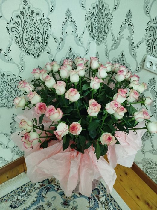 Роза 51шт свежие