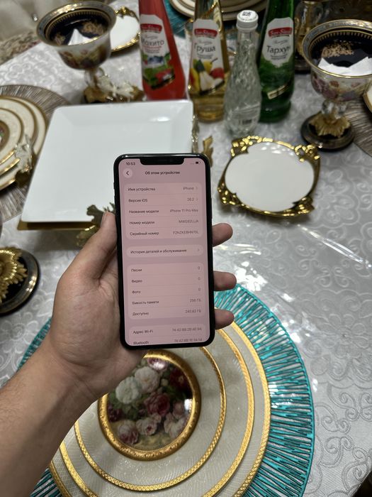 Iphone 11 pro max 256 tali