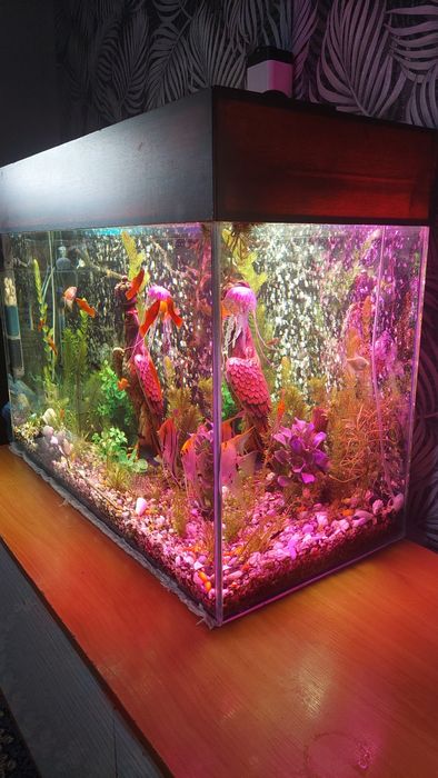 Продам аквариум на 130 литров.