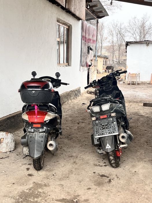 Прадам самураи …….