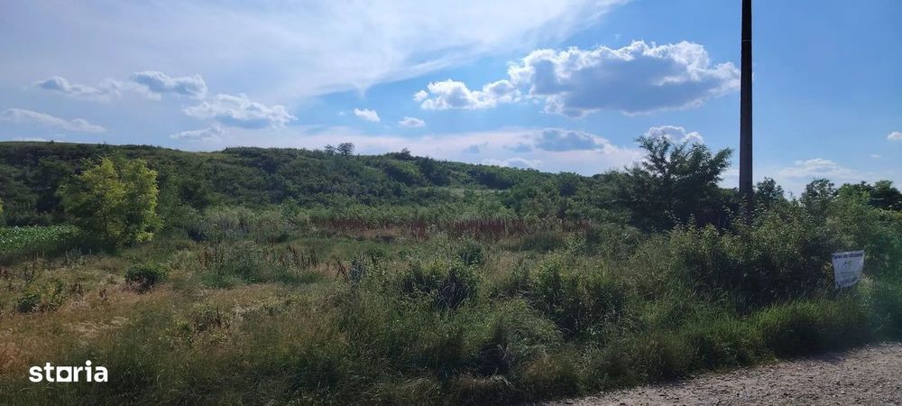Teren intravilan de vânzare – 5.000 mp, Com. Belcești (sat Rusi)