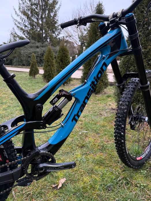 Transition Tr11 L (mullet)