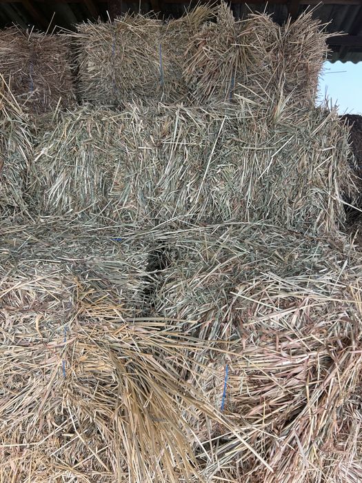 Vand baloti paie 2025