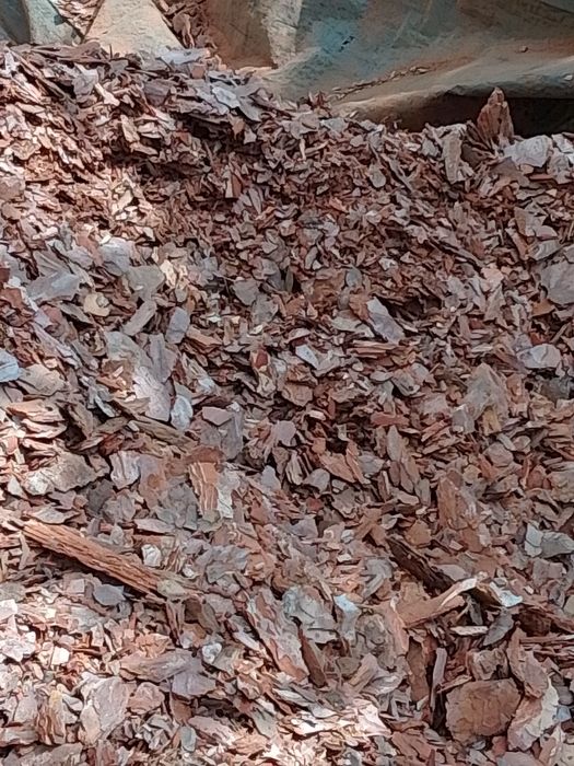 Боров мулч - дребен и едър, за декорация , Трици и талаж.