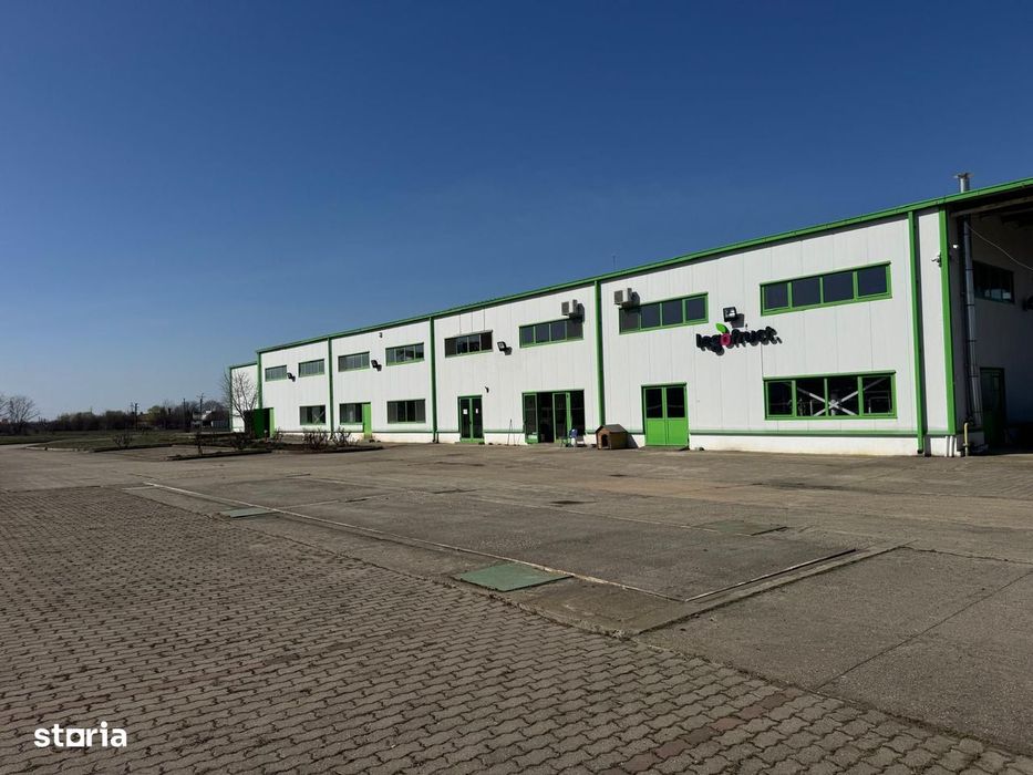 Hala productie/ depozitare frigorifica in Timisoara