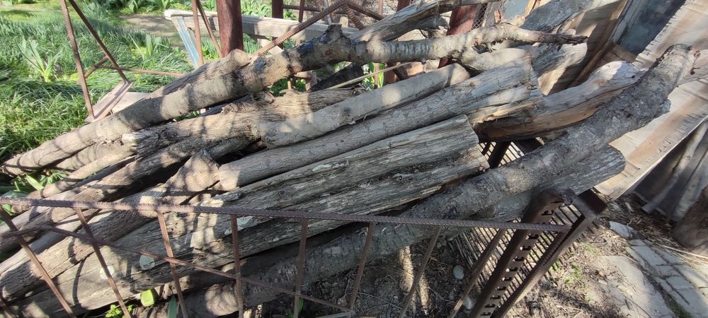O'tin bor sotiladi / Дрова продаются