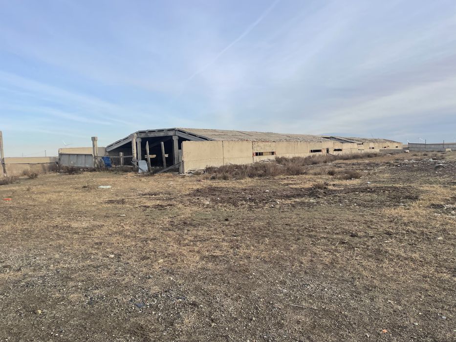 Продам Базу для откорма