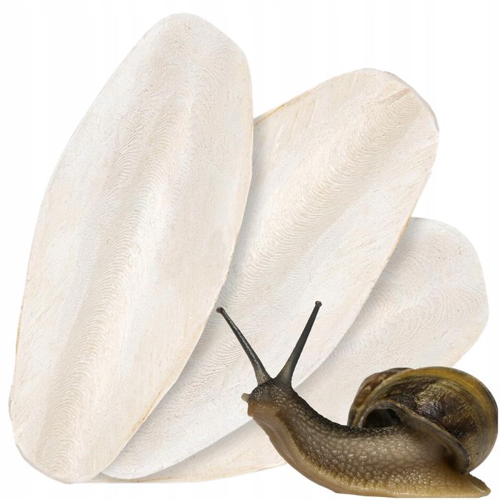 Ulitkalar uchun Sepiya