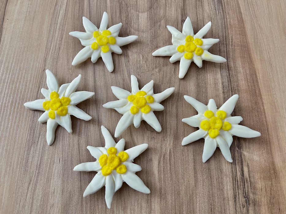 Brose flori de colt Edelweiss