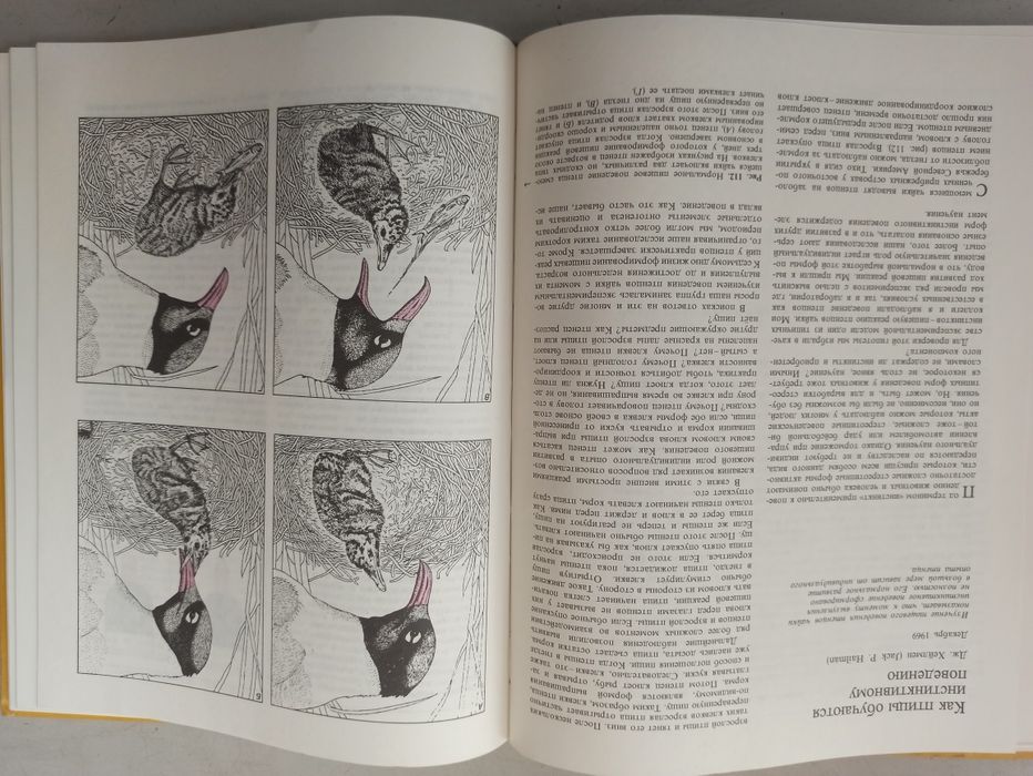 Тематическая книга " птиц" перевод с английского