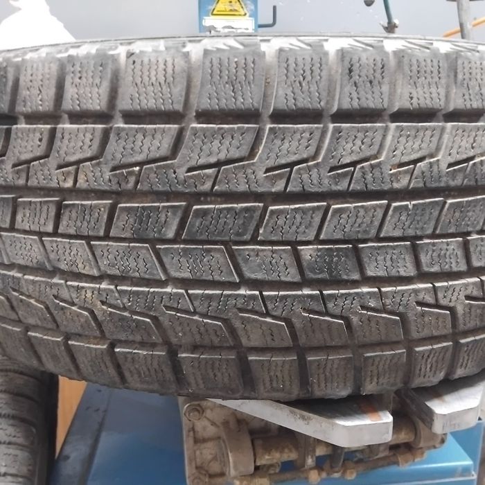 Автошина Лекковой