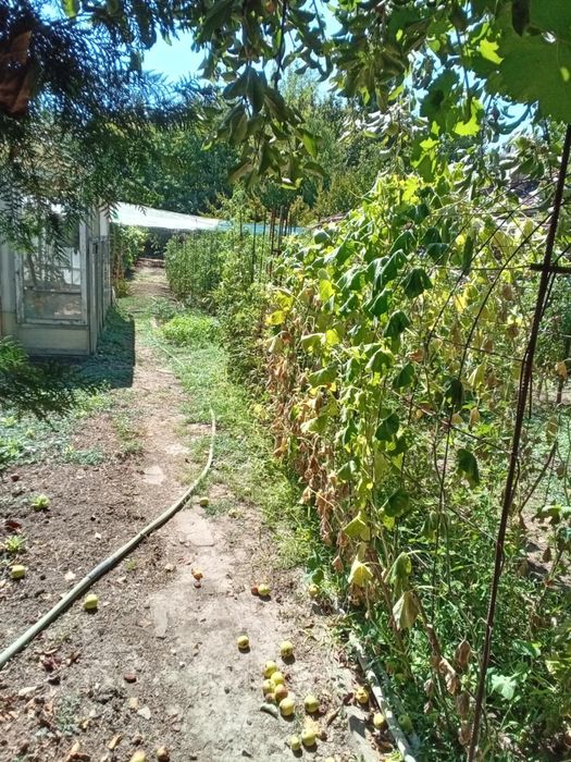 Продава се Къща в с. Ясен, Област Плевен - 70 кв.м за 1329 €/кв.м - Снимка #4