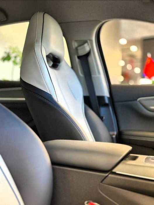 Byd chazor active