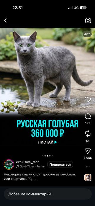 Отдам даром в хорошие руки