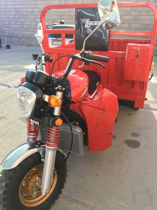 Lochin Moto 300sm³ Yangidek