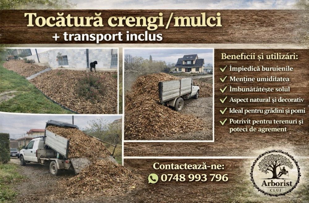ARBORIST CLUJ – Servicii Profesionale Arboricultura si spatii verzi
