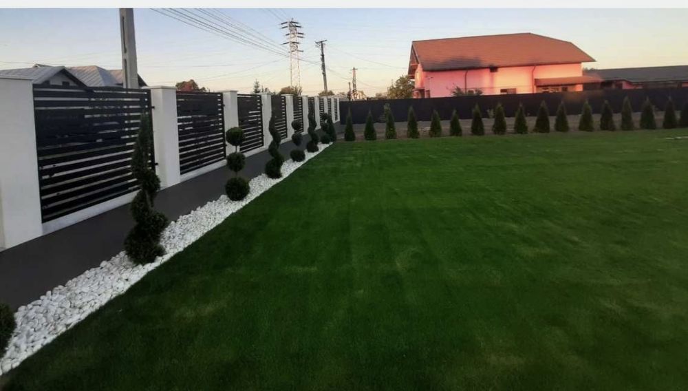 Gazon Rulou- Pentru Gradini de Vis