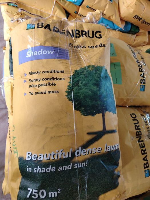 Семена газона Barenbrug