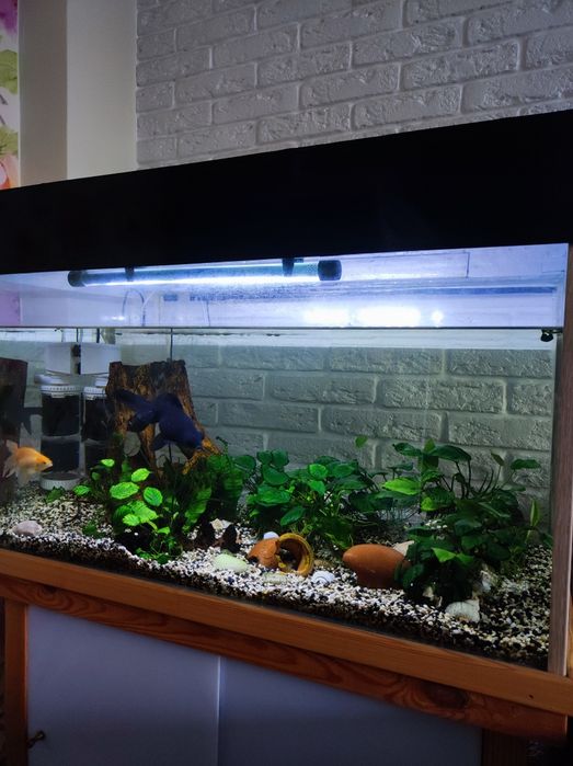 Продам аквариум 100 л