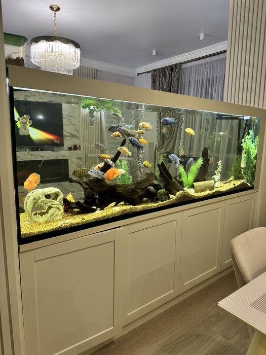 Аквариум премиум с подставкой и рыбками