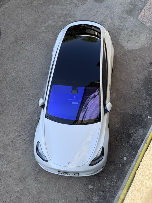 Tesla Model Y performance