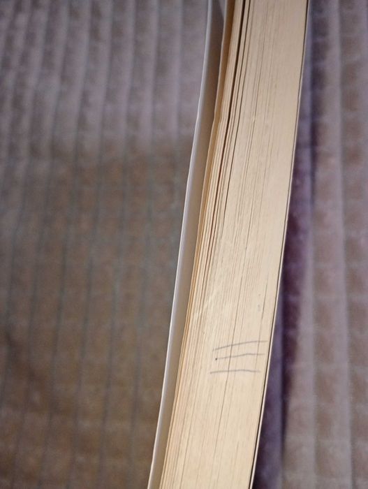 „Mara” – Ioan Slavici, nouă