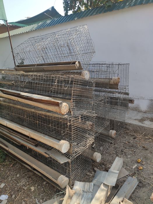 товук сетка сотилади