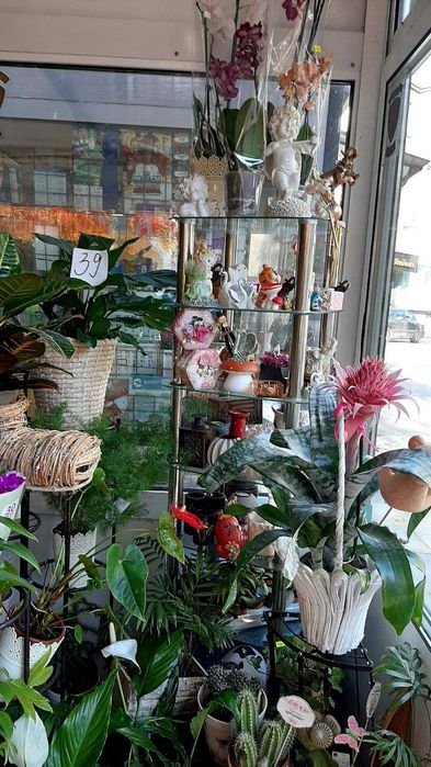 Дава се под наем Магазин в Варна, Център - 15 кв.м за 598.23 € - Снимка #2