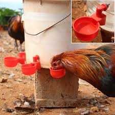 Adapatoare  pasari automata cu nivel constant