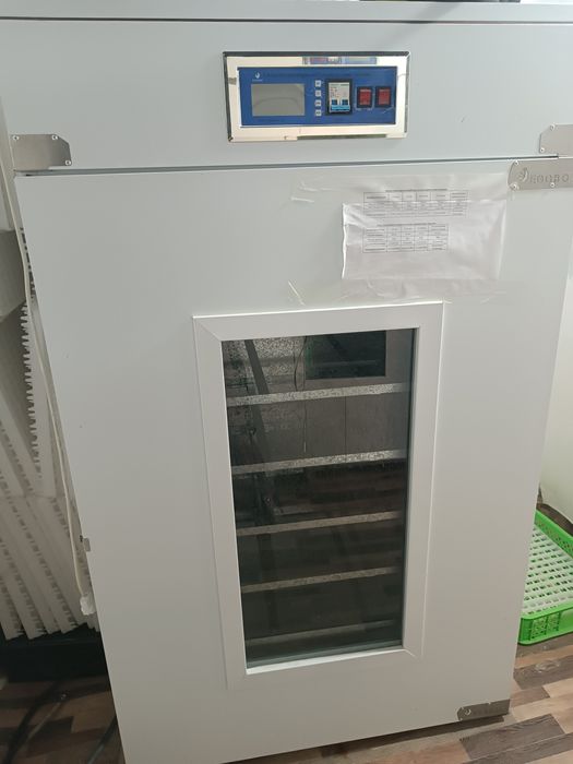 Inkubator 2mingtalik