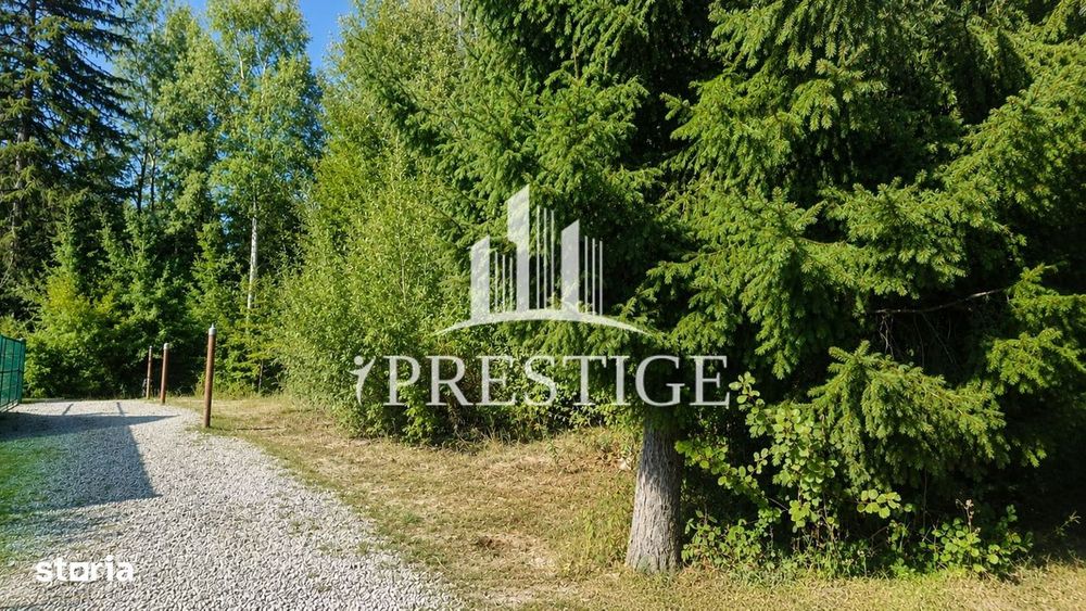 Teren Intravilan De Vânzare | Valea Avrigului | 744 Mp