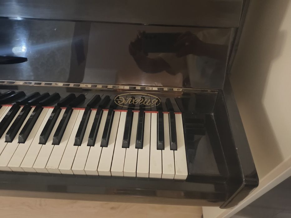 Пианино Элегия 65000т