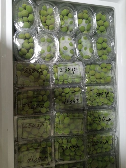 Dovcha bor va kok sulton bor va guloz bor va qulupney bor