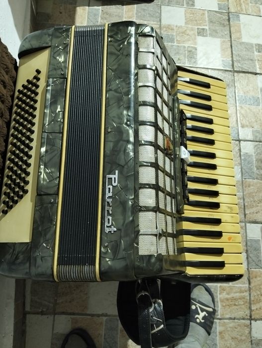 Acordeon parot 80 de bași