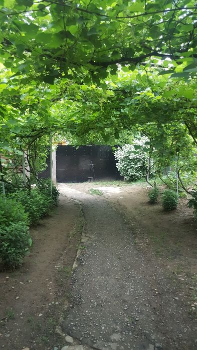 Casă la țară, Țuglui