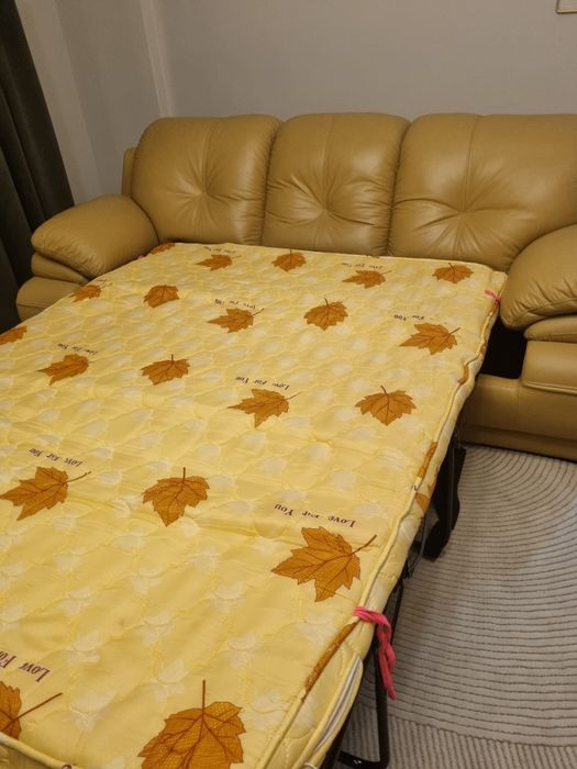 canapea   din   piele oferta  de nerefuzat