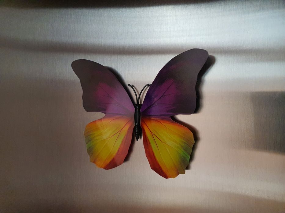 Магниты Бабочки 2шт.