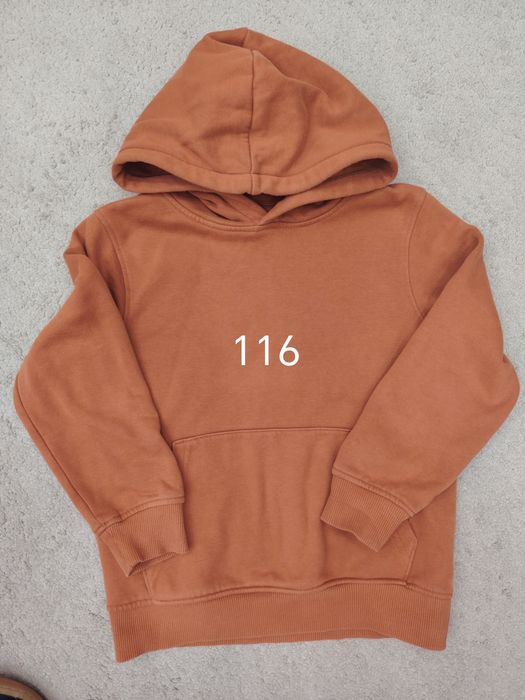 Детски дрехи 110, 116 ZARA, OKAIDI, NEXT