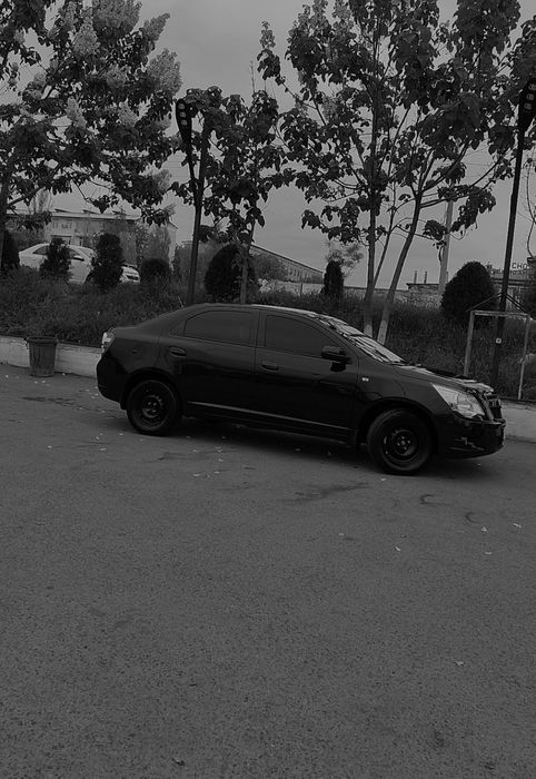 Srochno kobalt sotiladi 2023