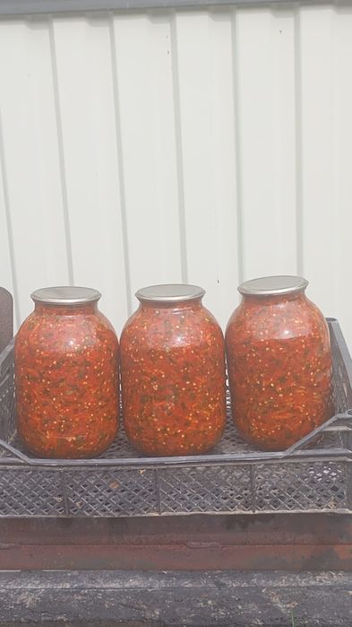 Продам острый ладжан