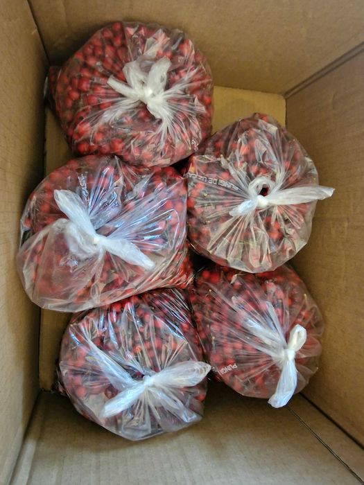 Fructe de paducel (gherghine)