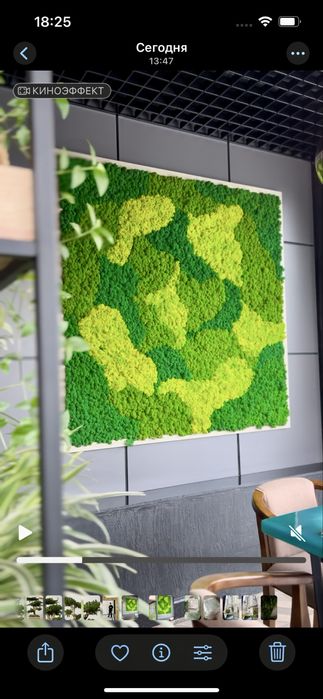 Эко-арт для вашего интерьера мох, картины из мха побработка фито стен